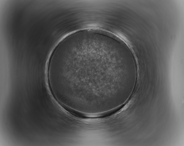X0000088851392200706081127