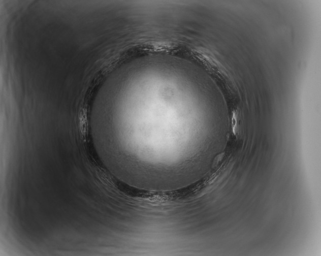 X0000088851395200706081126