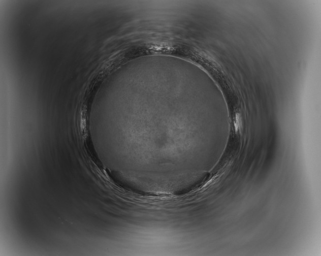 X0000088851396200706081126