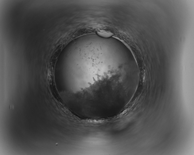 X0000088851397200706081126
