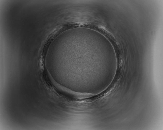 X0000088851398200706081126