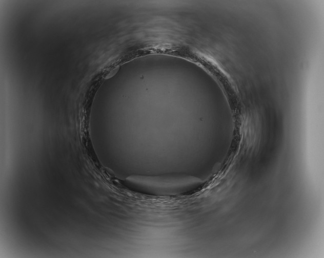 X0000088851399200706081126
