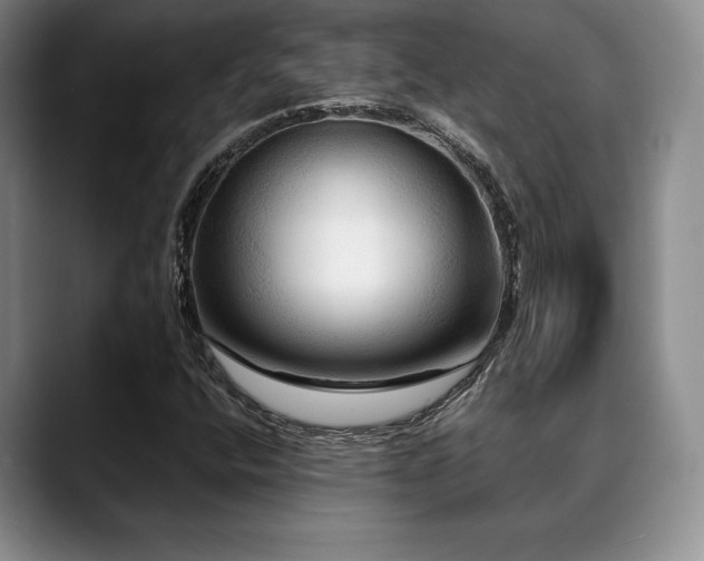 X0000088851400200706081126