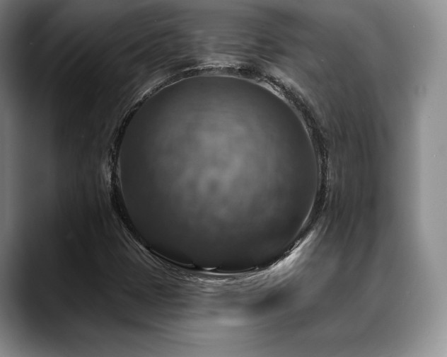 X0000088851401200706081126