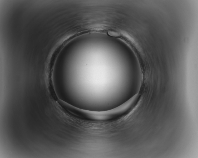 X0000088851410200706081126