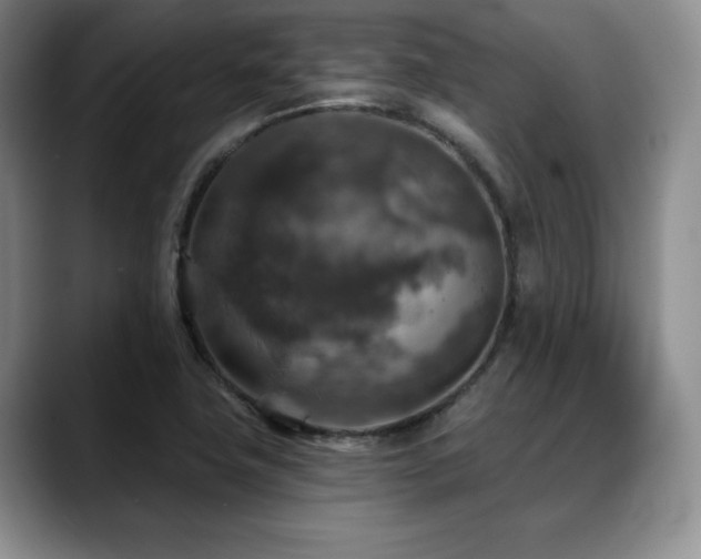 X0000088851411200706081126
