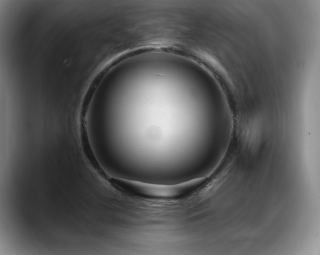 X0000088851412200706081126