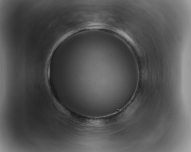 X0000088851413200706081126