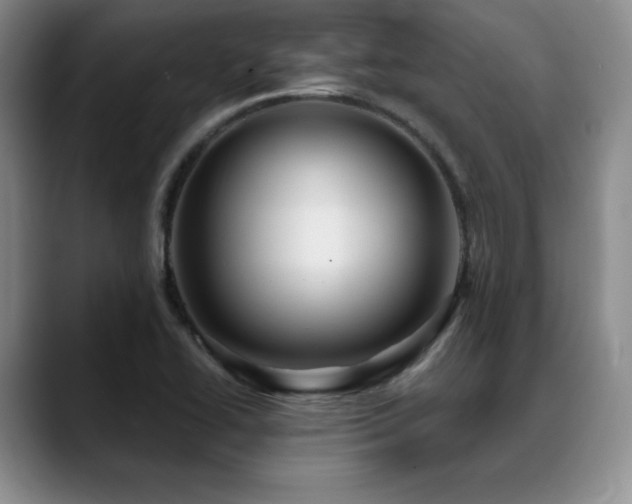 X0000088851414200706081126