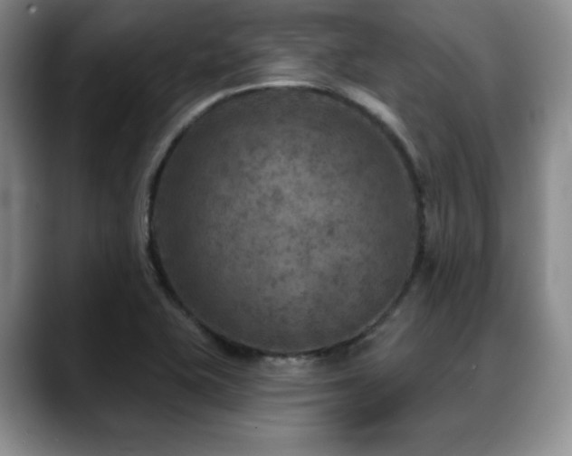 X0000088851415200706081126