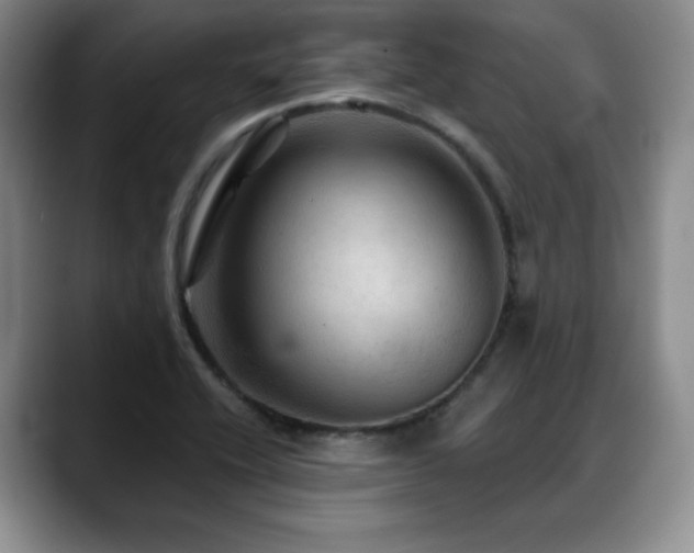 X0000088851416200706081126