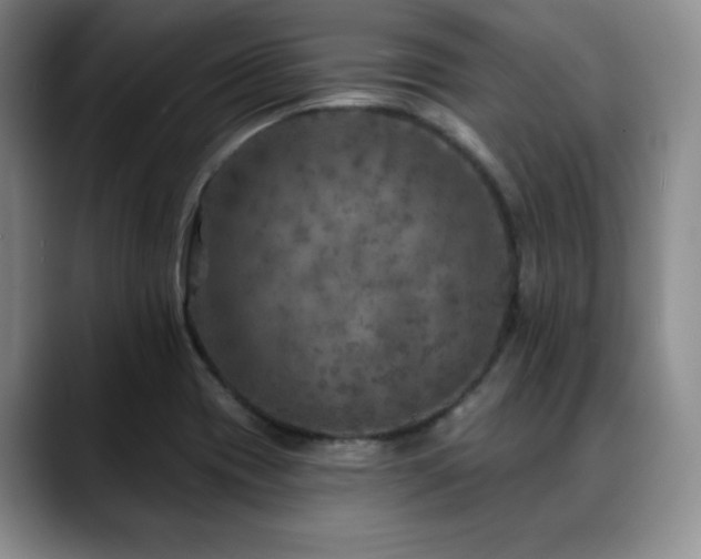 X0000088851417200706081126