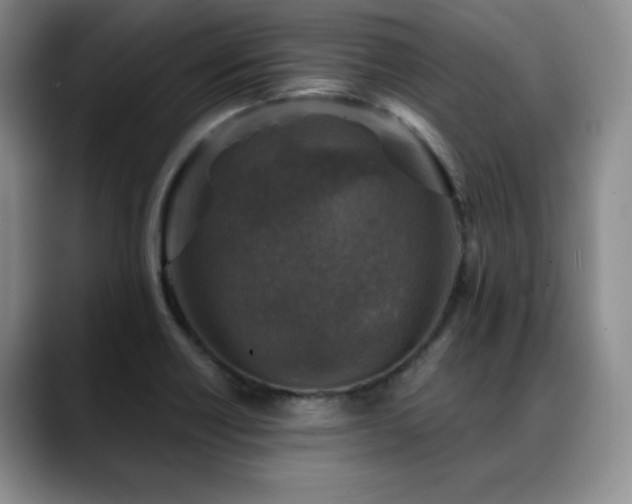 X0000088851418200706081126