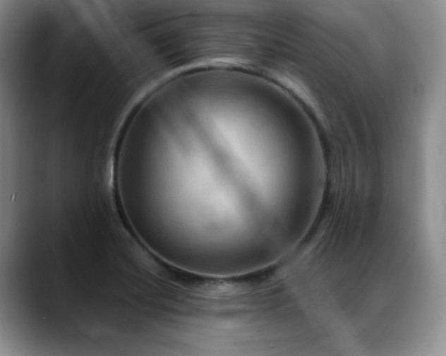 X0000088851420200706081126