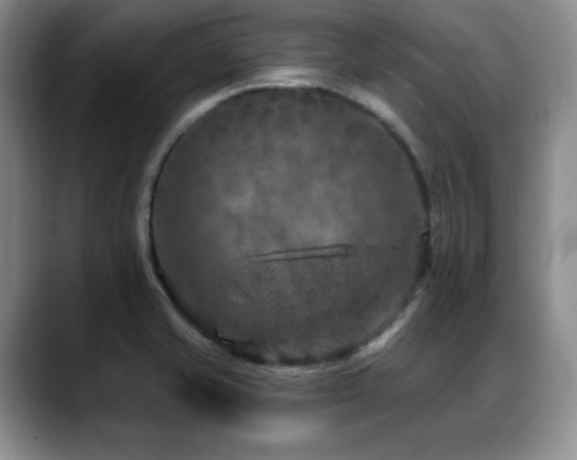 X0000088851421200706081126