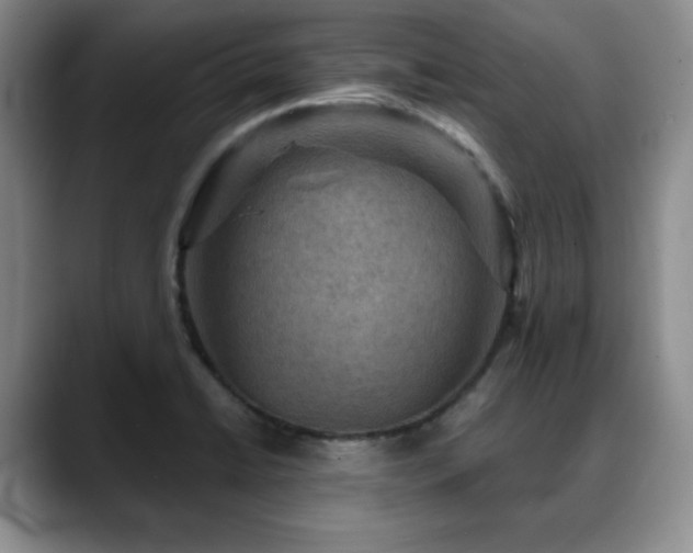 X0000088851422200706081126