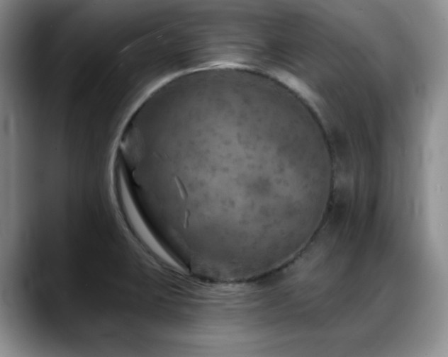 X0000088851423200706081126