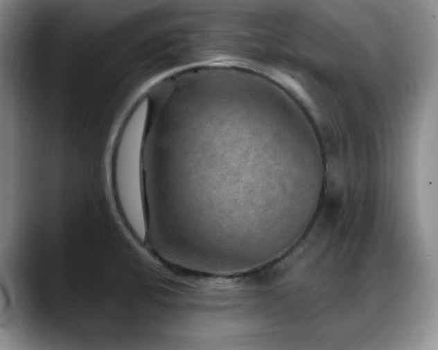 X0000088851424200706081126