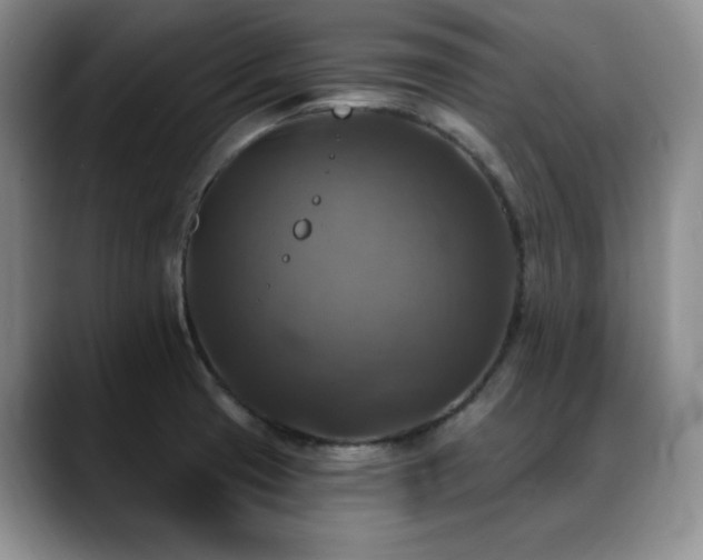X0000088851425200706081126