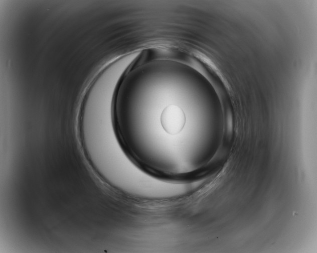 X0000088851426200706081126