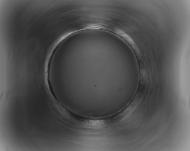 X0000088851427200706081126