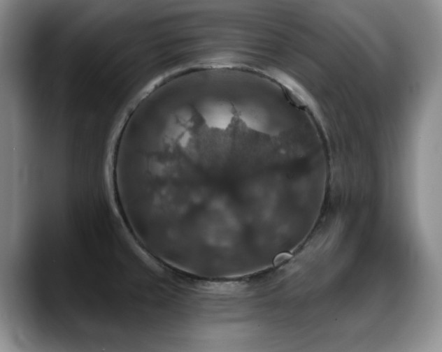 X0000088851429200706081126