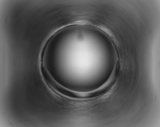 X0000088851430200706081126