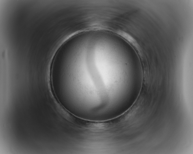 X0000088851431200706081126