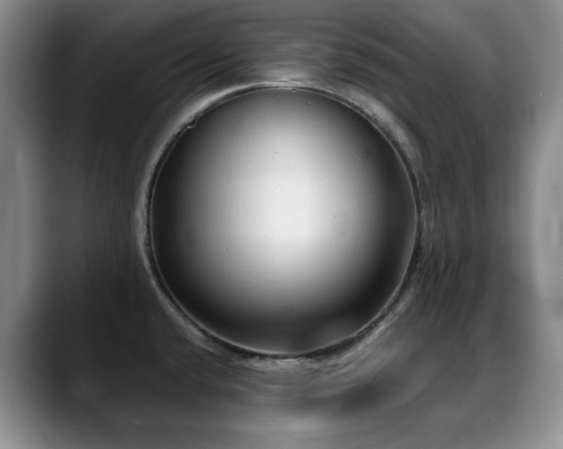 X0000088851432200706081127