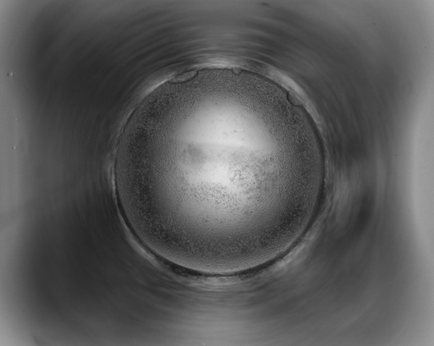 X0000088851433200706081127