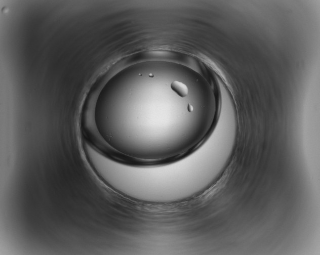 X0000088851434200706081127