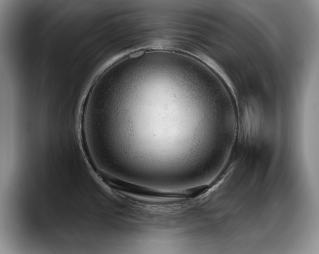 X0000088851437200706081127