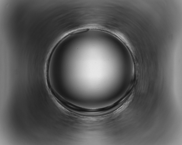 X0000088851438200706081127