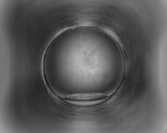 X0000088851439200706081127