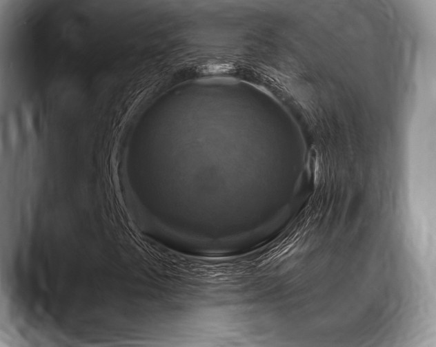 X0000088851441200706081126