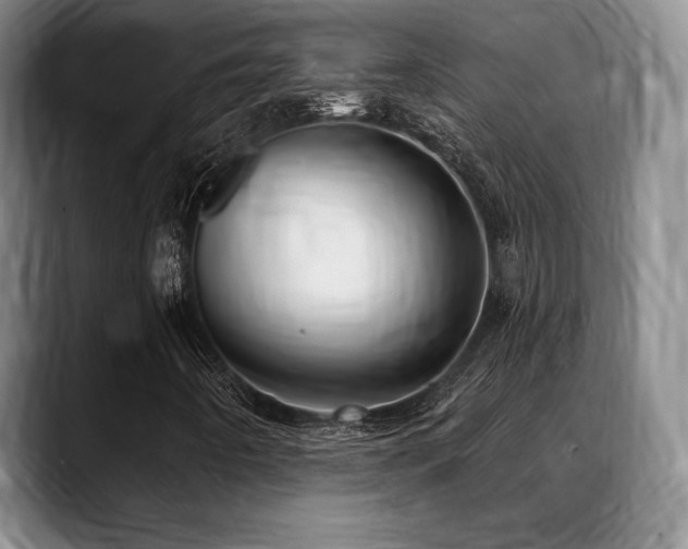 X0000088851442200706081126