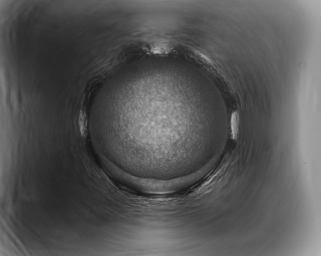 X0000088851443200706081126