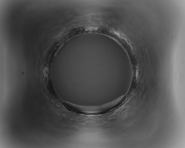 X0000088851445200706081126