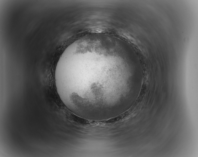 X0000088851446200706081126