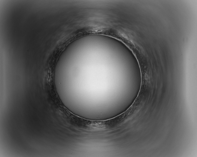 X0000088851447200706081126