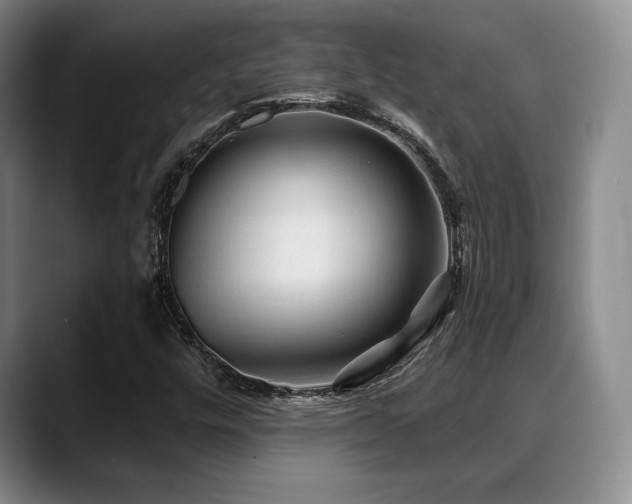 X0000088851448200706081126