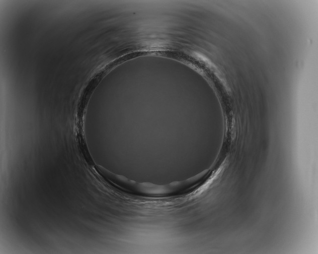 X0000088851449200706081126
