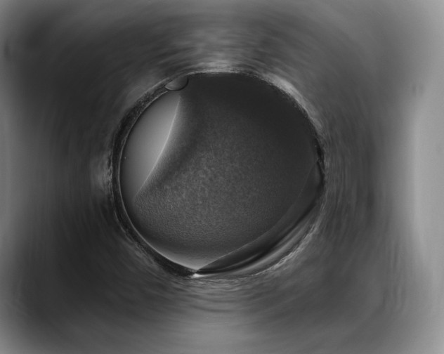 X0000088851450200706081126