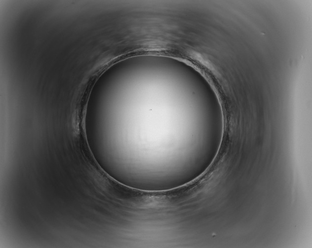X0000088851451200706081126