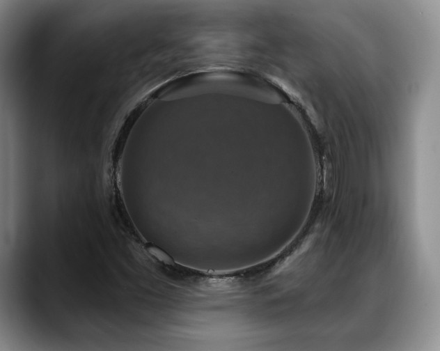 X0000088851453200706081126