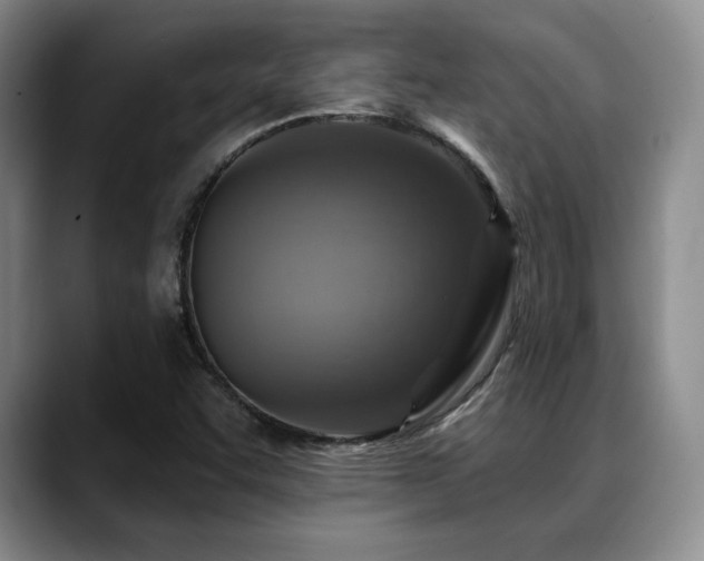 X0000088851455200706081126