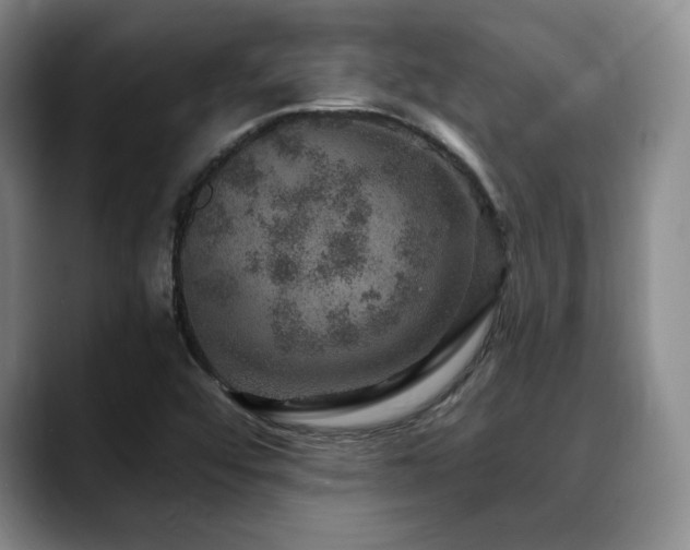 X0000088851456200706081126