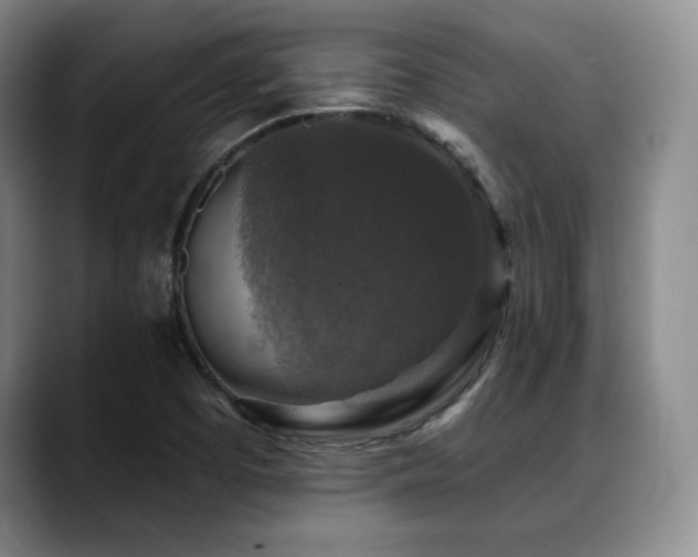 X0000088851457200706081126
