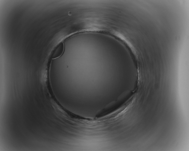 X0000088851459200706081126
