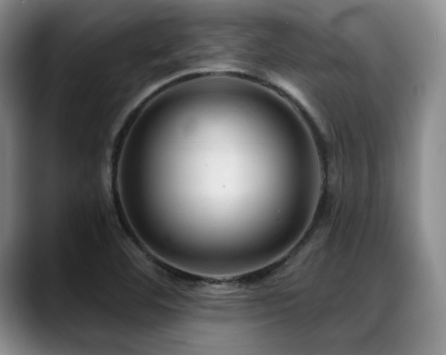 X0000088851460200706081126